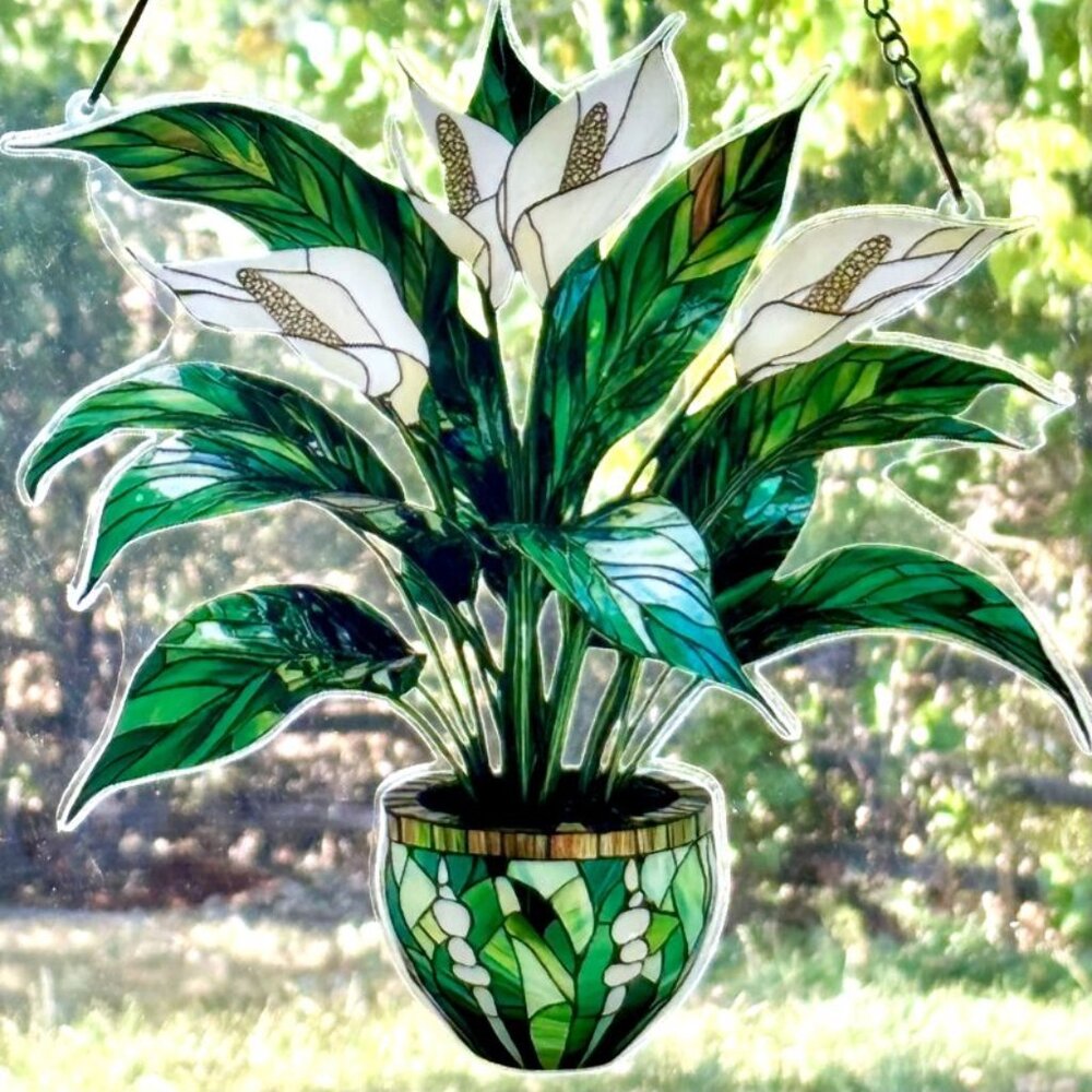 Potted White Peace Spathe Lily Houseplant Plant Suncatcher Window Sun Hanging